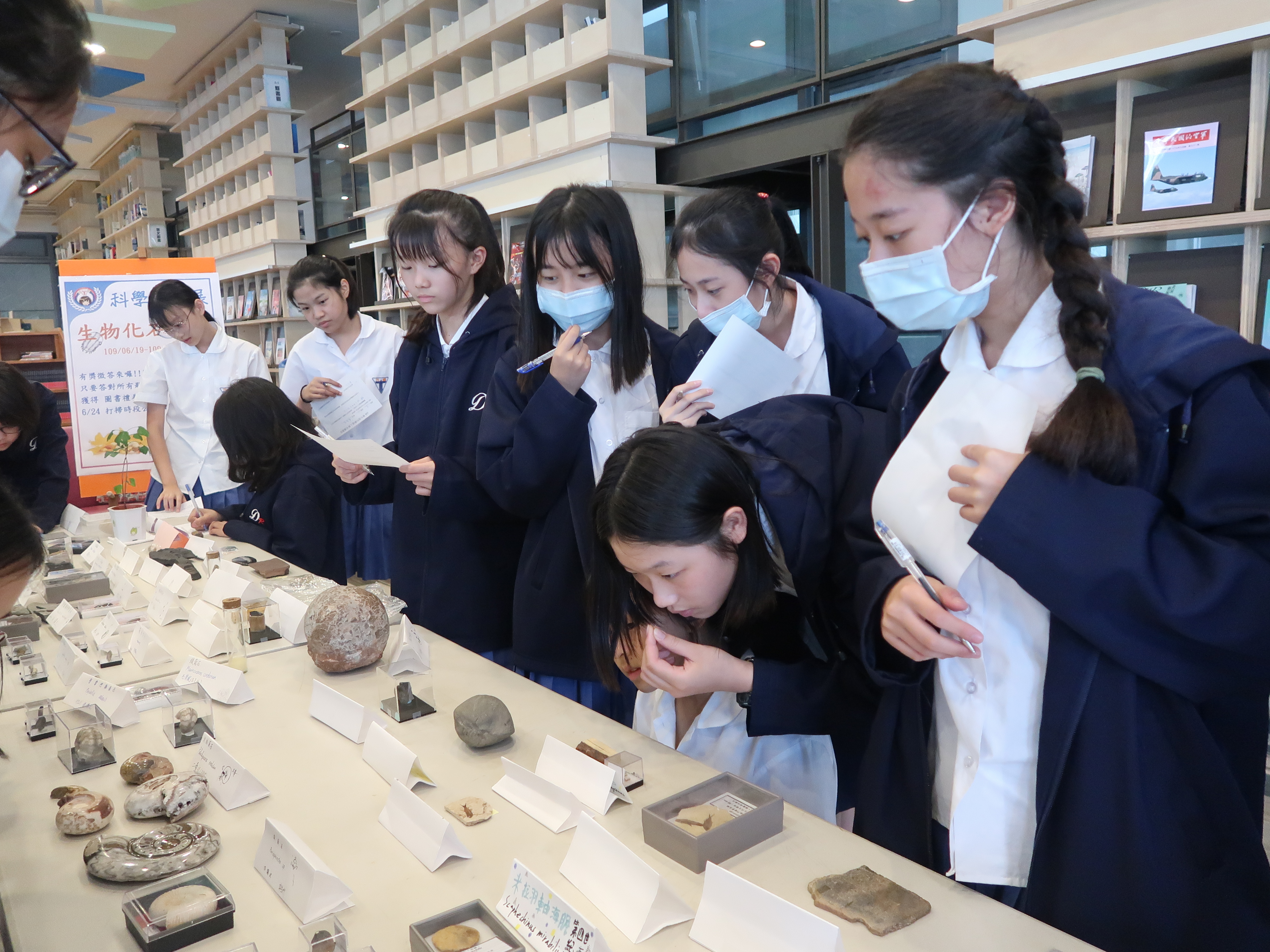 化石展相簿5